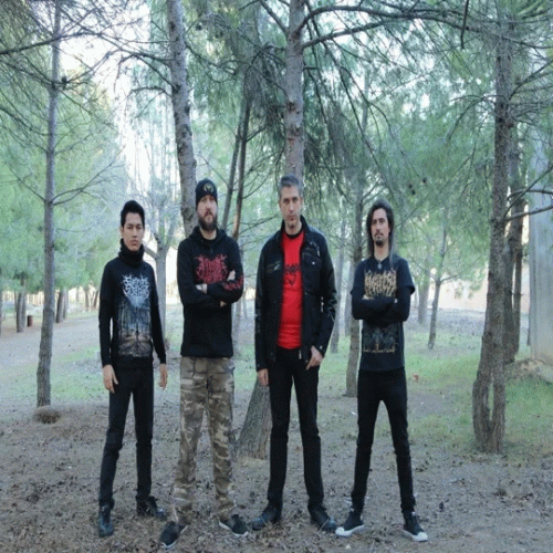 The Game of Latrodectus